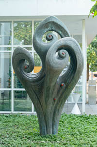 Gerhard Willhalm – Flora
