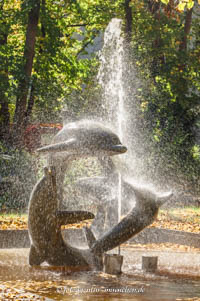 Delphinbrunnen – Foto aus München