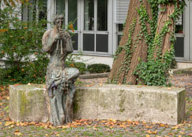 Elsässer Hubert - Faun