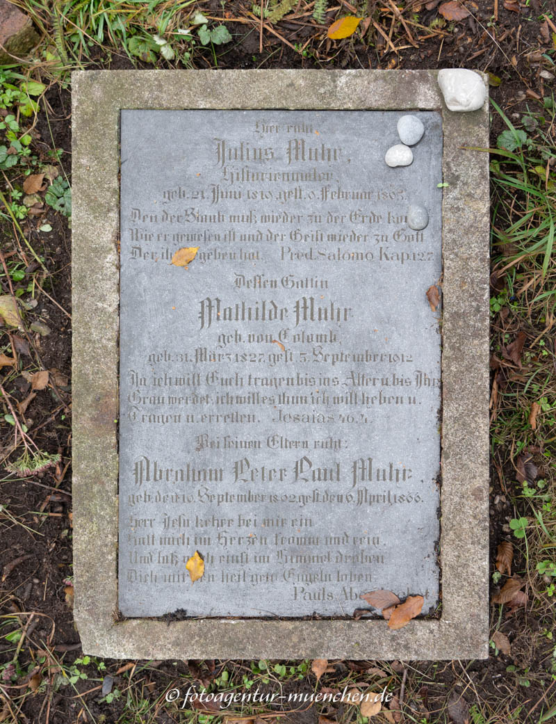Muhr Julius