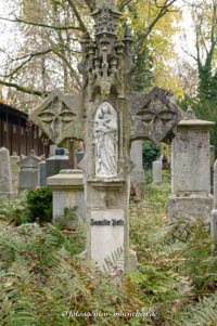 Johann Petz