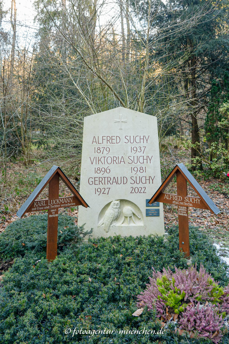 Suchy Alfred
