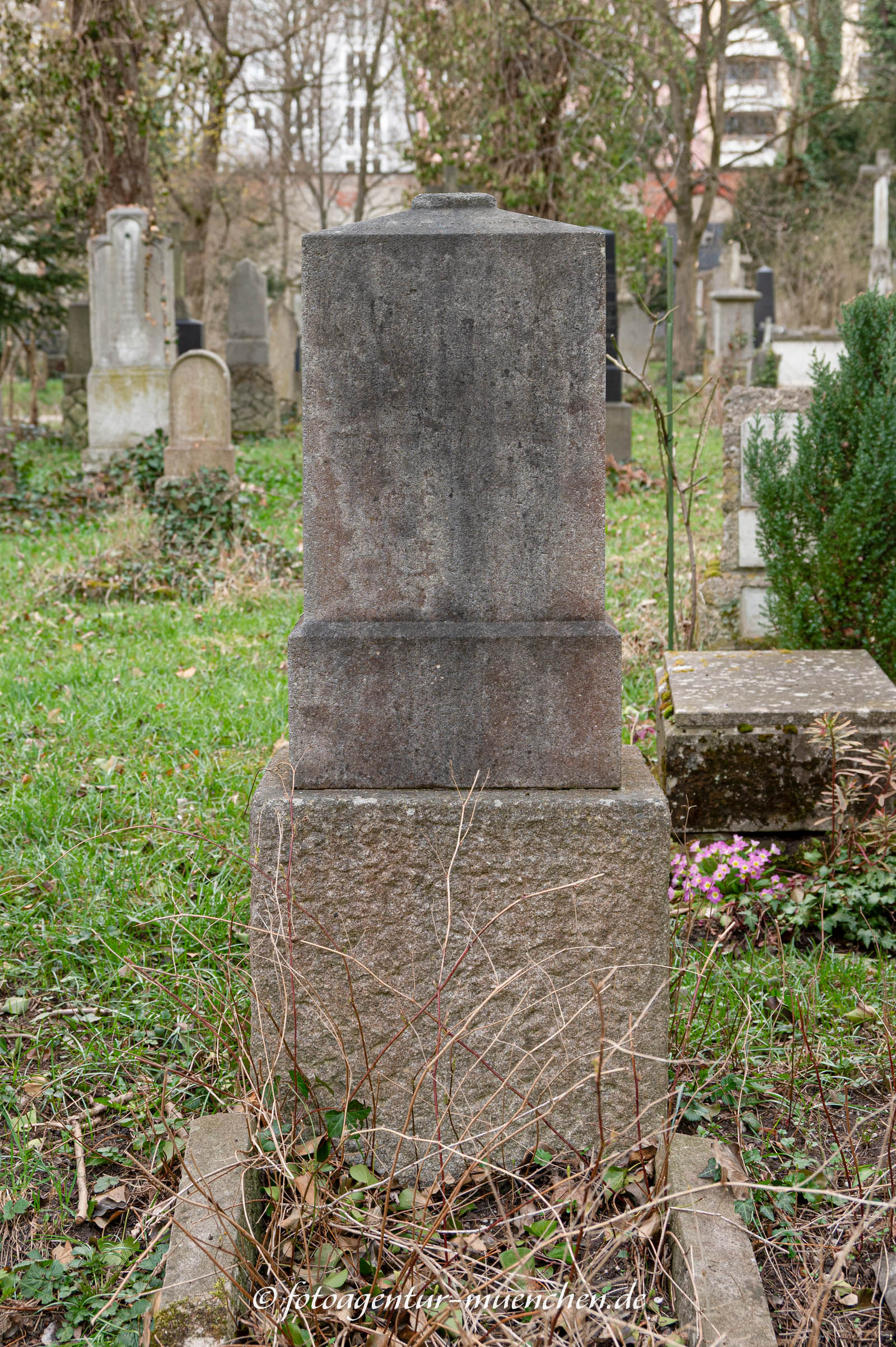 Alfred Vogel