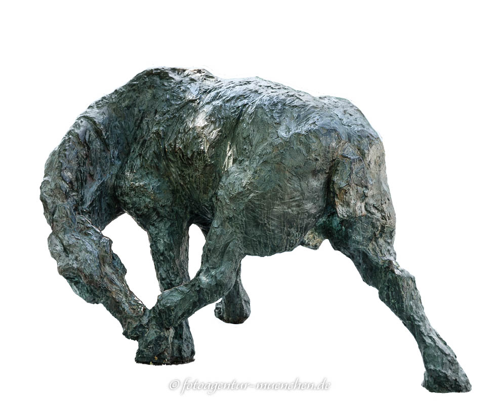 Pferd, sich beißend Pferd