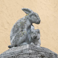 Gerhard Willhalm – Hasen und Affen