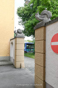  - Zwei große Schnecken