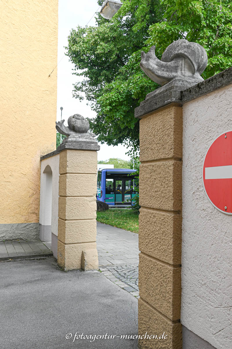 Zwei große Schnecken