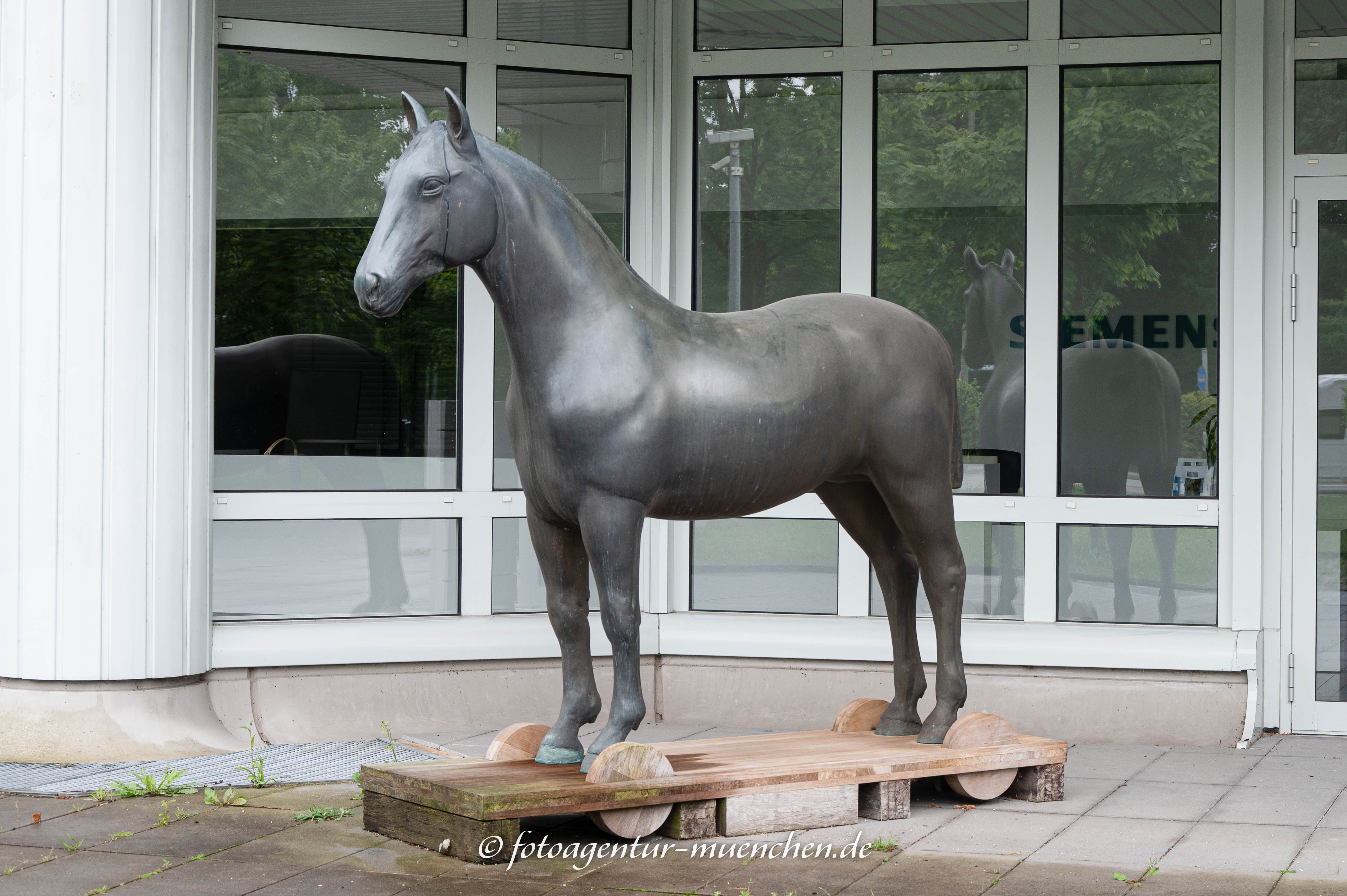 Das Pferd