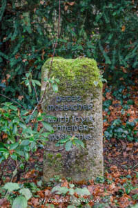 Edith Schneider