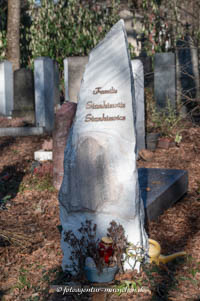 Karl Stankiewitz