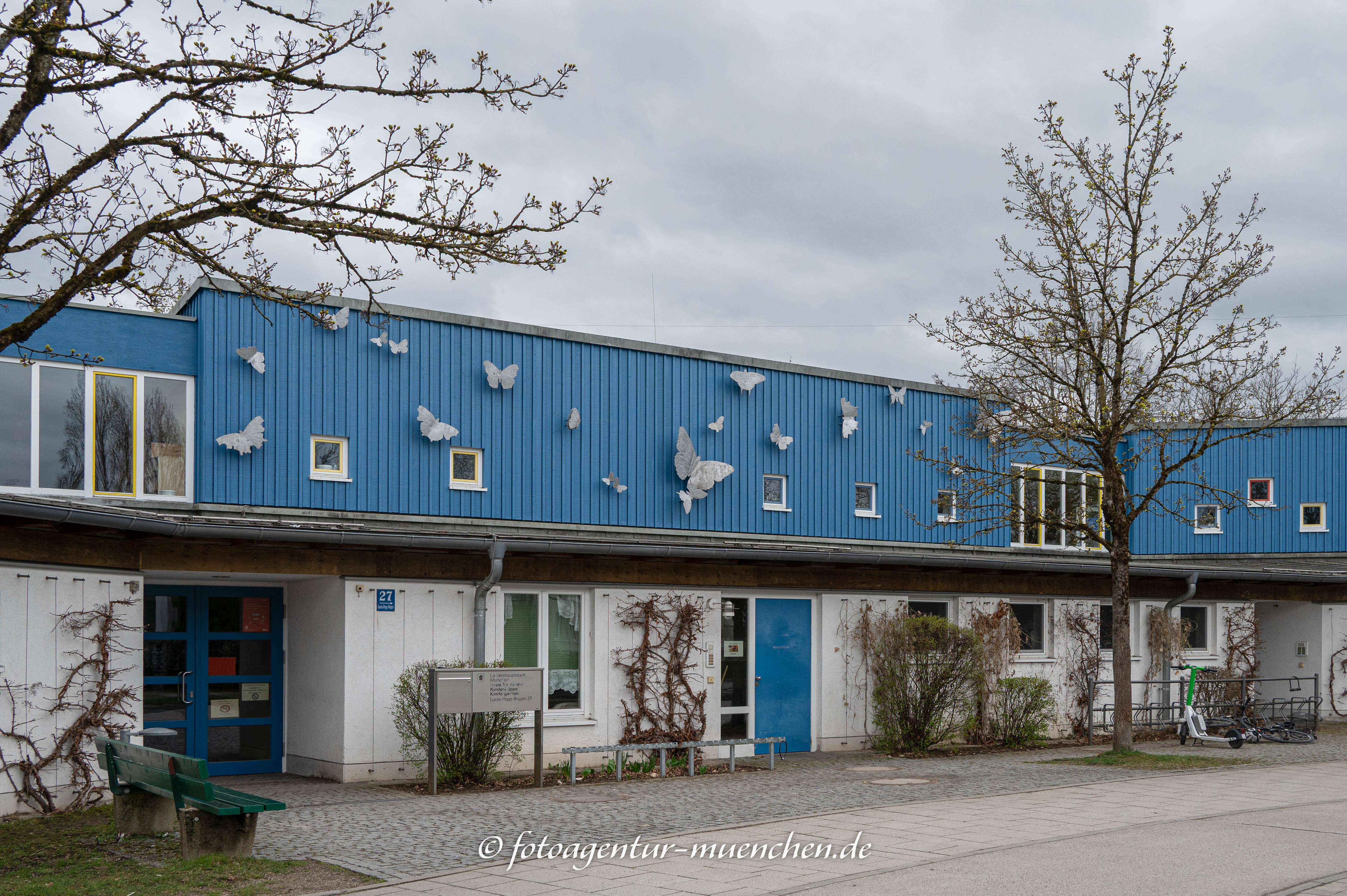 Schmetterlinge