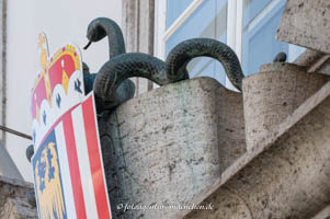 Äskulapschlangen – Foto aus München