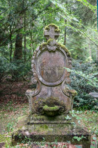 Ludwig Bolgiano