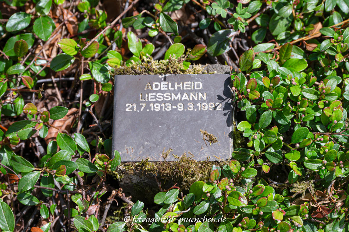 Liessmann Adelheid