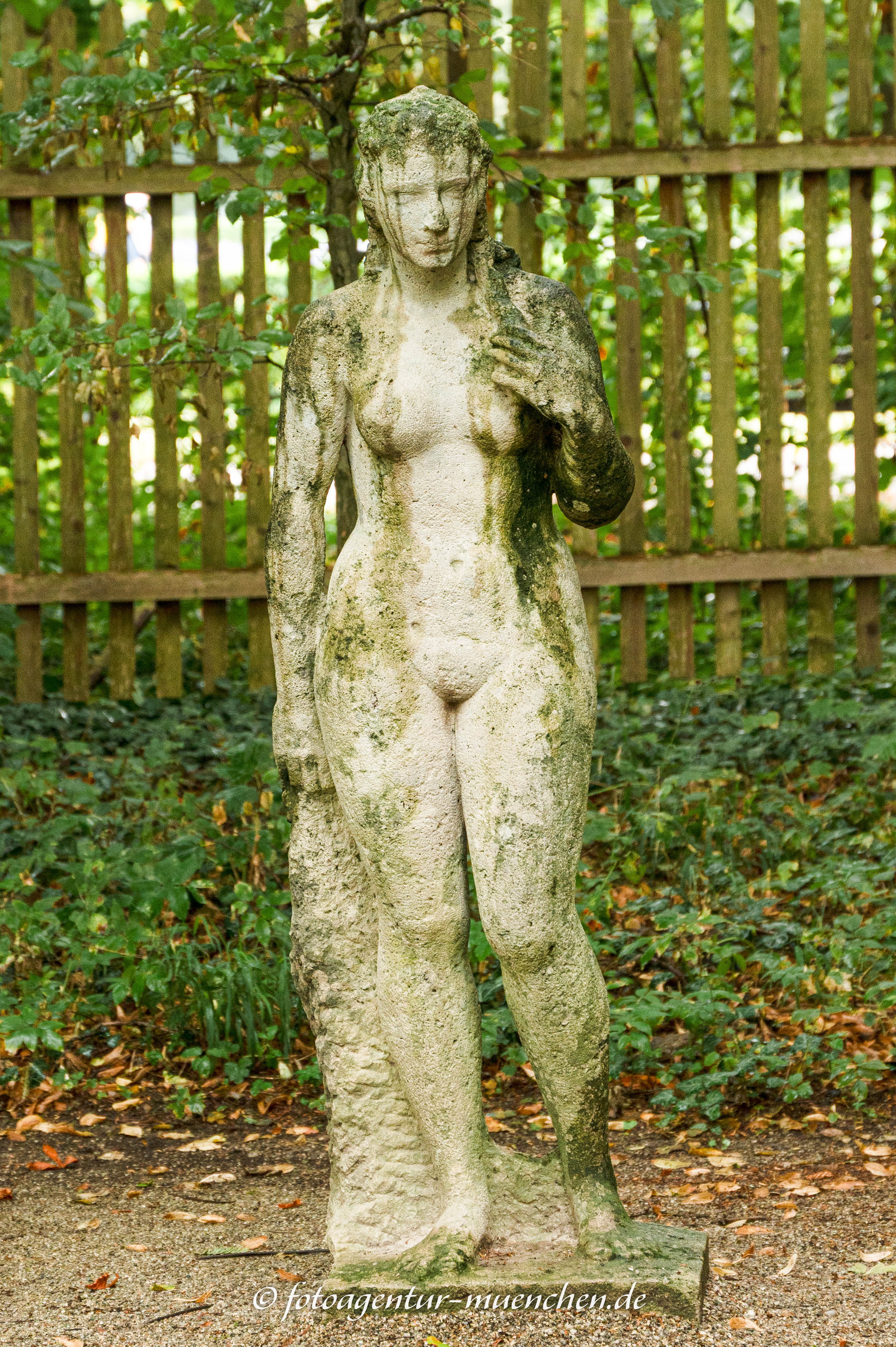 Venus?