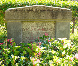  – Grab  - Wilhelm von Branca