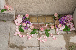 Stolpersteine - Familie Brand