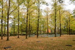  – Ehrenhain I