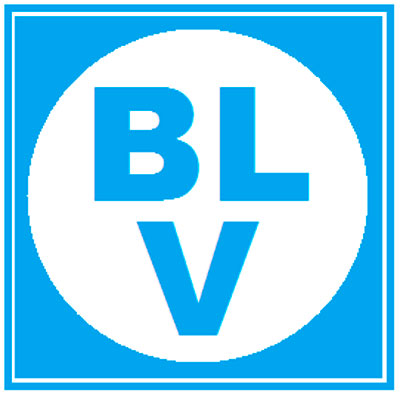 Logo - Bayerische Lagerversorgung