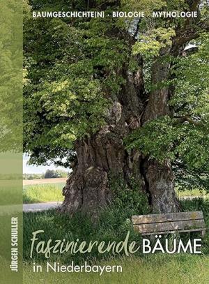 Faszinierende Bäume in Niederbayern