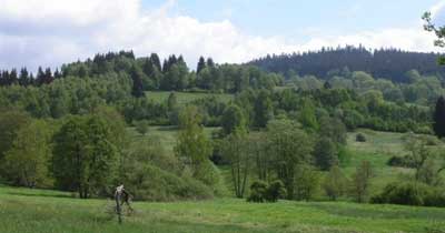   Böhmerwald