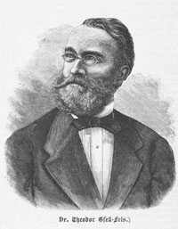 Theodor Gsell-Fels
