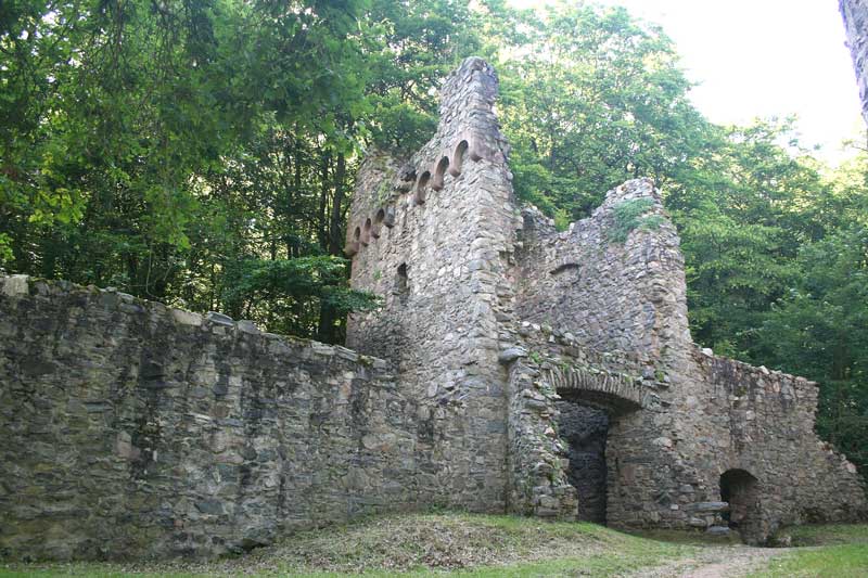   Burg Rodenstein