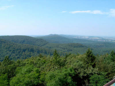   Teutoburger Wald